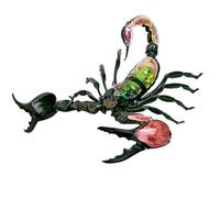 4D Scorpion Anatomy Model, Insects Organ Anatomy Model, Animal Teaching Model with Removable 29 Parts, Three Dimensional Puzzle Parent-Child Toy, for Science Study