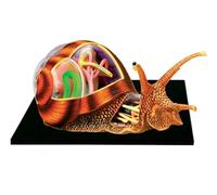 4D Snails Anatomy Skeleton Model, Animal 32 Bodies And Removable Parts Of The Model Anatomical for Biology Lessons To School Teaching
