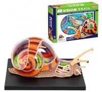 4D Snails Anatomy Skeleton Model, Animal Anatomy 32 Bodies Removable | Simulation Puzzle Assembly Model, The Model Anatomical for The Biology Lessons Animal to School Skeleton Model