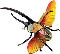 4D Vision Beetle Anatomy Model, 22 Removerable Insect Anatomy Model Biology Teaching Models Insect Organ Model Puzzle Assembly for Teaching Study