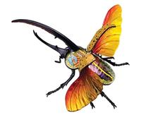 4D Vision Beetle Anatomy Model, Biological Insect Anatomical Teaching Model, Puzzle Torso Body Model Anatomical Models Insect Organ Model