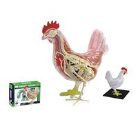4D Vision Chicken Anatomy Model, Chicken Skeleton & Anatomy Model Kit, Detachable 32 Parts Scientific Anatomical Animal Model, Puzzle Assembly Toy Kit