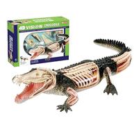 4D Vision Crocodile Anatomy Model,Animal Model Detachable Organ Model 26 Components,Medical Training Animal Organ Models