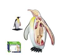 4D Vision Penguin Anatomy Model, Three Dimensional Puzzle Anatomical Model, Penguin Skeleton Specimen Model, Fully Detachable 29 Organs for Teaching