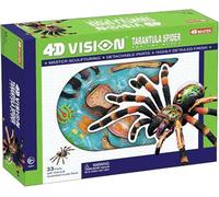 4D Vision Spider Anatomy Models - Removable 33 Parts Organs and Body | Medical Teaching Model - for Study Diaplay Teaching,Animal Anatomical Model