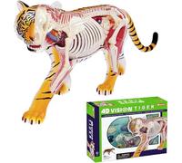 4D Vision Tiger Anatomy Model, Detachable 28 Organs and Body Parts, Three Dimensional Puzzle Tiger Anatomical Model, Tiger Intelligence Skeleton Specimen Model