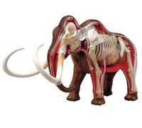 4D Woolly Mammoth Anatomy Model With 30 Detachable Organs & Skeleton Parts, Prehistoric Animal Anatomical Model For Biology Teaching, Education & Scientific Research