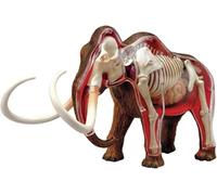 4D Woolly Mammoth Anatomy Model, Woolly Mammoth Skeleton Model, Animal Skeleton Specimen, 30 Detachable Biology Parts for Pet Clinic Veterinary Training School Teaching Demonstration