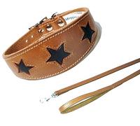 4doggies Tan With Brown Star Collar Lead Set 3 Sizes Padded And Suede Backing Whippet Greyhound Dog Collar (14-17 Inch Greyhound)