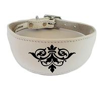 4doggies Whippet Collar Greyhound Collar Italian Greyhound Collar Padded Backing Dog Collar Engraved D19 (17-21 Inch (43cm-53cm), White)