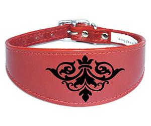 4doggies Whippet Collar Greyhound Collar Italian Greyhound Collar Padded Backing Dog Collar Engraved D19 (12-14 Inch (30cm-35cm), Red)
