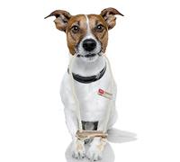 4DOGS Indestructible Dog Rope Toy for Dog Teeth Cleaning Combined with Natural Dog Chew Antler, This is 100% Natural Gluten Free, GMO Free Dog Toys - 1 Piece Hook Easily Chewable - Medium