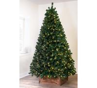 (4ft) Christmas Tree World | The Pre-lit Vanda Verde Fir Tree