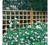 4ft High Forest Heavy Duty Trellis - Panels