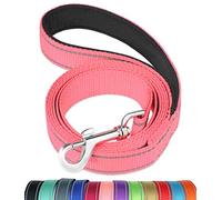 4FT Reflective Dog Leash with Soft Padded Handle for Training,Walking Lead for Large & Medium Dog,1 Inch Wide,Neon Pink