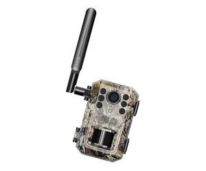 4G Allowed Wildlife Camera 720P 14MP Photos Nocturnalvision 0.3s Initiate Speed IP66 Waterproof ABS Housing Solar Charging Capability Remote Observing Outdoor Trail Camera