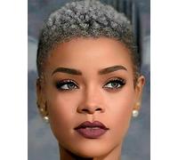 4inch Short Afro Curly Not Human Hair Wigs for Black Women Pixie Cut Kinky Curly Short Wigs 150 Percent Density Afro Wig,Grey