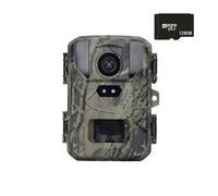4K MiNi800 Mini Wildlife Hunting Camera 50MP Keep Way Trail Waterproof HD Night Vision Infrared Photo Trap With 256GB Car(With 128GB card)