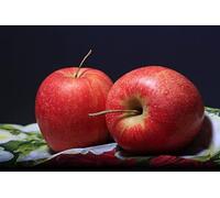 4kg Red Apples From The Veg Box Company