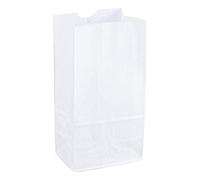 4lb White Kraft Paper Bags- Pack of 100ct
