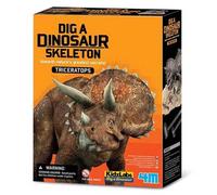 4m Dig A Triceratops Skeleton Geological Set