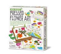 4M Green Creativity Pressed Flower Art