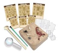 4M KidzLabs Creepy Crawly Digging Kit, Bugs, Magnifier & Specimen Cards | Science Excavation Toy Set with Digging Tool & Brush, Educational STEM Gift for Kids, Boys & Girls, Age 5+