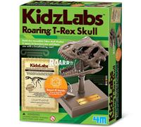 4M KidzLabs - Roaring T-Rex Skull 4M Multicolor