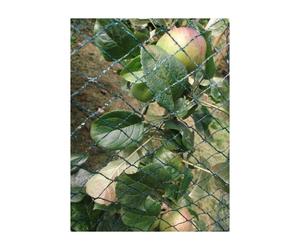 (4m x 10m) Yuzet Fish Pond Netting Anti Bird Garden Debris 2,4,6,8,10m Wide