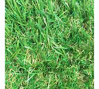 4m x 4m Luxury 30mm Pile Height Artificial Grass | Natural & Realistic Looking Astro Garden Lawn | 13 ft 1 Inch x 12 ft 10 Inch | 400cm x 400cm | 157 x 157 Inches | High Density Fake Turf