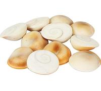 4OUR FAITH Gomti Chakra Pack of 21 for Wealth, Health & Success