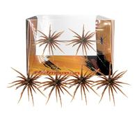 4PC Sea Urchin Soft Bait | Realistic Fuzzy Dice Fishing Lure for Bass & Perch | Floating TPR Swimbait for A Rig Fishing with Reflective Stars | Artificial Worm Bait for Saltwater & Freshwater