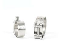 4Pcs 304 Stainless Steel Mini Hose Clamps - Heavy Duty Adjustable Pipe Clips (44-47mm), Corrosion Proof & Easy Install for Small Engine & Plumbing,149mm-161mmx1pcs