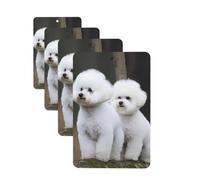 4Pcs Car Air Fresheners Cards Bichon Frise Hanging Fragrance Scented Cards Lasting Scent Car Aromatherapy Tablets Auto Rearview Mirror Pendant for Wardrobe Shoe Cabinet