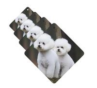 4Pcs Car Air Fresheners Cards Bichon Frise Hanging Fragrance Scented Cards Lasting Scent Car Aromatherapy Tablets Auto Rearview Mirror Pendant for Wardrobe Shoe Cabinet