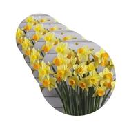 4Pcs Car Air Fresheners Cards Bouquet of Daffodils Hanging Fragrance Scented Cards Lasting Scent Car Aromatherapy Tablets Auto Rearview Mirror Pendant for Wardrobe Shoe Cabinet