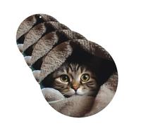 4Pcs Car Air Fresheners Cards Cat Under Blanket Hanging Fragrance Scented Cards Lasting Scent Car Aromatherapy Tablets Auto Rearview Mirror Pendant for Wardrobe Shoe Cabinet