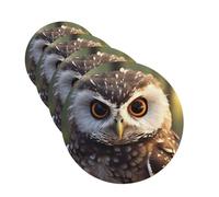 4Pcs Car Air Fresheners Cards Cute Owl Hanging Fragrance Scented Cards Lasting Scent Car Aromatherapy Tablets Auto Rearview Mirror Pendant for Wardrobe Shoe Cabinet