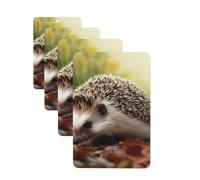 4Pcs Car Air Fresheners Cards hedgehog Hanging Fragrance Scented Cards Lasting Scent Car Aromatherapy Tablets Auto Rearview Mirror Pendant for Wardrobe Shoe Cabinet
