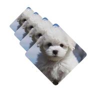 4Pcs Car Air Fresheners Cards Long Lasting Double Sided Hanging Fragrance Scented Card Bichon Frise Dog Car Aromatherapy Tablets Auto Rearview Mirror Pendant for Men Women