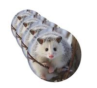 4Pcs Car Air Fresheners Cards Opossum In Snow Hanging Fragrance Scented Cards Lasting Scent Car Aromatherapy Tablets Auto Rearview Mirror Pendant for Wardrobe Shoe Cabinet