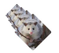4Pcs Car Air Fresheners Cards Opossum In Snow Hanging Fragrance Scented Cards Lasting Scent Car Aromatherapy Tablets Auto Rearview Mirror Pendant for Wardrobe Shoe Cabinet