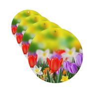 4Pcs Car Air Fresheners Cards Spring Flowers Hanging Fragrance Scented Cards Lasting Scent Car Aromatherapy Tablets Auto Rearview Mirror Pendant for Wardrobe Shoe Cabinet