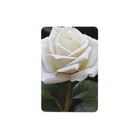 4pcs Car Air Fresheners White Rose Hanging Car Air Fresheners for Women Lavender Car Interior Accessories Household Air Freshener For Bedroom Bathroom Shoe Cabinet