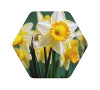 4Pcs Drink Coasters, Daffodil Flower Coasters for Drinks Leather Absorbent Coaster Set Heat-Resistant Mug Mats Coffee Cup Pads Housewarming Gifts for New Home
