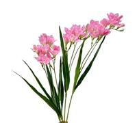 4pcs Freesias Flowers Artificial with Long Stem,24"Real Touch Dendrobium Plants Fake Orchid Leaves,Faux Larkspur Flowers for Outdoor Table Garden Party Wedding Bouquet Fillers,Patio Decor (Pink)