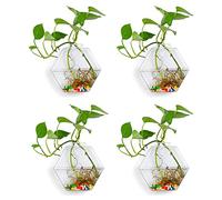 4PCS Glass Planter, Geometric Hexagonal Vases, Wall Hanging Flowerpots Transparent Plants, Wall Sticked Planters, Flower Planter Pot, Solid Wood Stand Bulb Vase for Home Decor(#1)