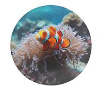 4Pcs Glass Strong Refrigerator Magnets, Round Fridge Magnets Clown Fish Printed for Kitchen Office Home Cabinet Decoration