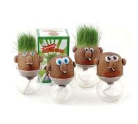 4Pcs Growing Grass Head Doll Mini Bonsai Grass Head Plants Potted Creative Desktop Green Plants Growing in Mini Bonsai Pot DIY Educational Gifts Office Garden Decoration Supplies, Random Styles