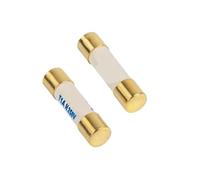 4pcs/lot 250V Gold plated fuse fever silver alloy amplifier front-end and back-end 5X20mm/6X32mm(15A 6X32mm)